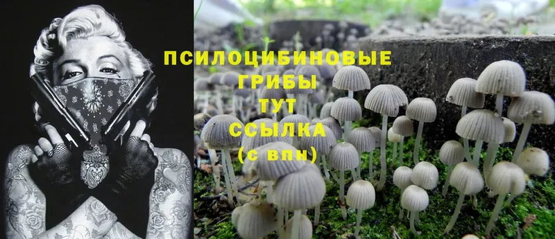 гидра сайт  Туринск  Галлюциногенные грибы Psilocybe  наркота 